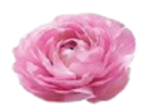 r8mjedLxLMm9 (132x103, 20Kb)
